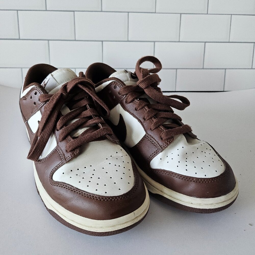 Brown Nike Dunk Lows